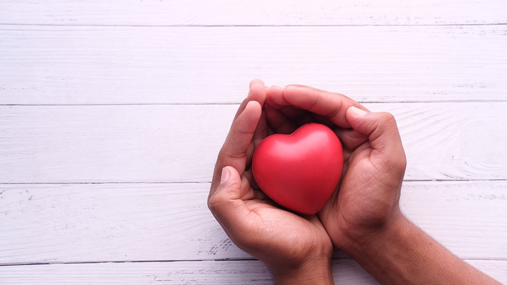 Hands with toy heart.