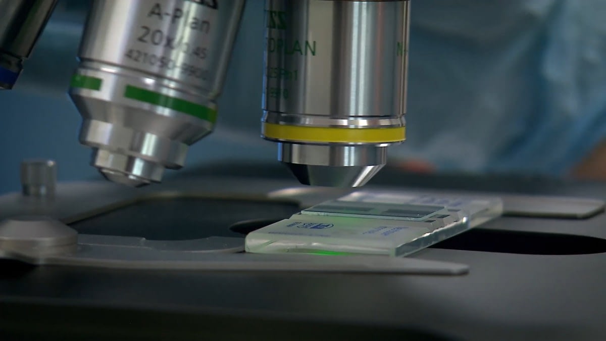 A photograph of a microscope focused on a slide.