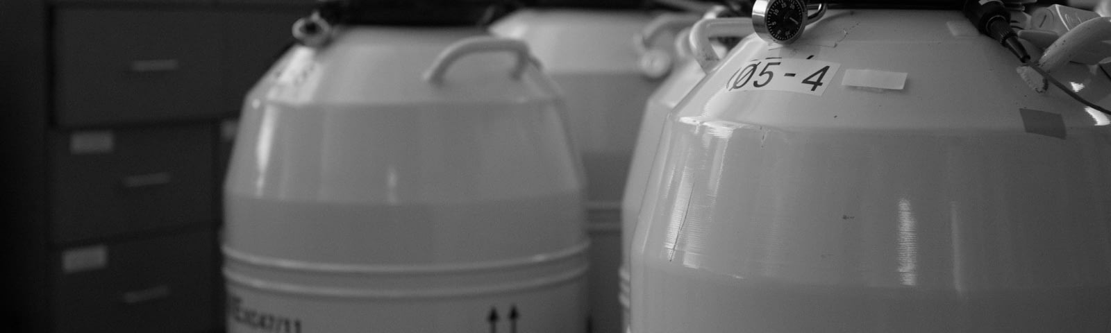 A photograph of fertility storage tanks.