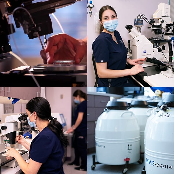 Photo grid of ivf lab specialists, microscope and tank