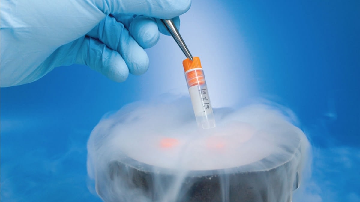 Fresh Embryo Transfer vs Frozen Embryo Transfer I TRIO Fertility