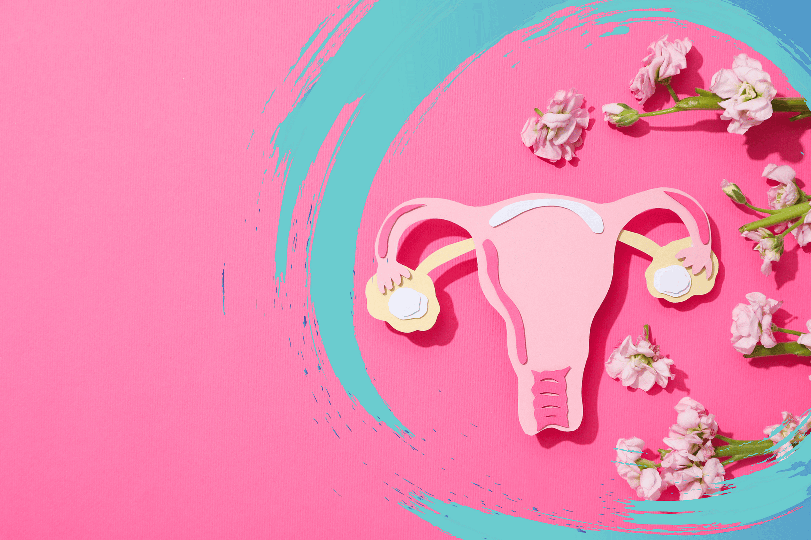 Pink cartoon drawing of uterus with flowers around it and a large swirl