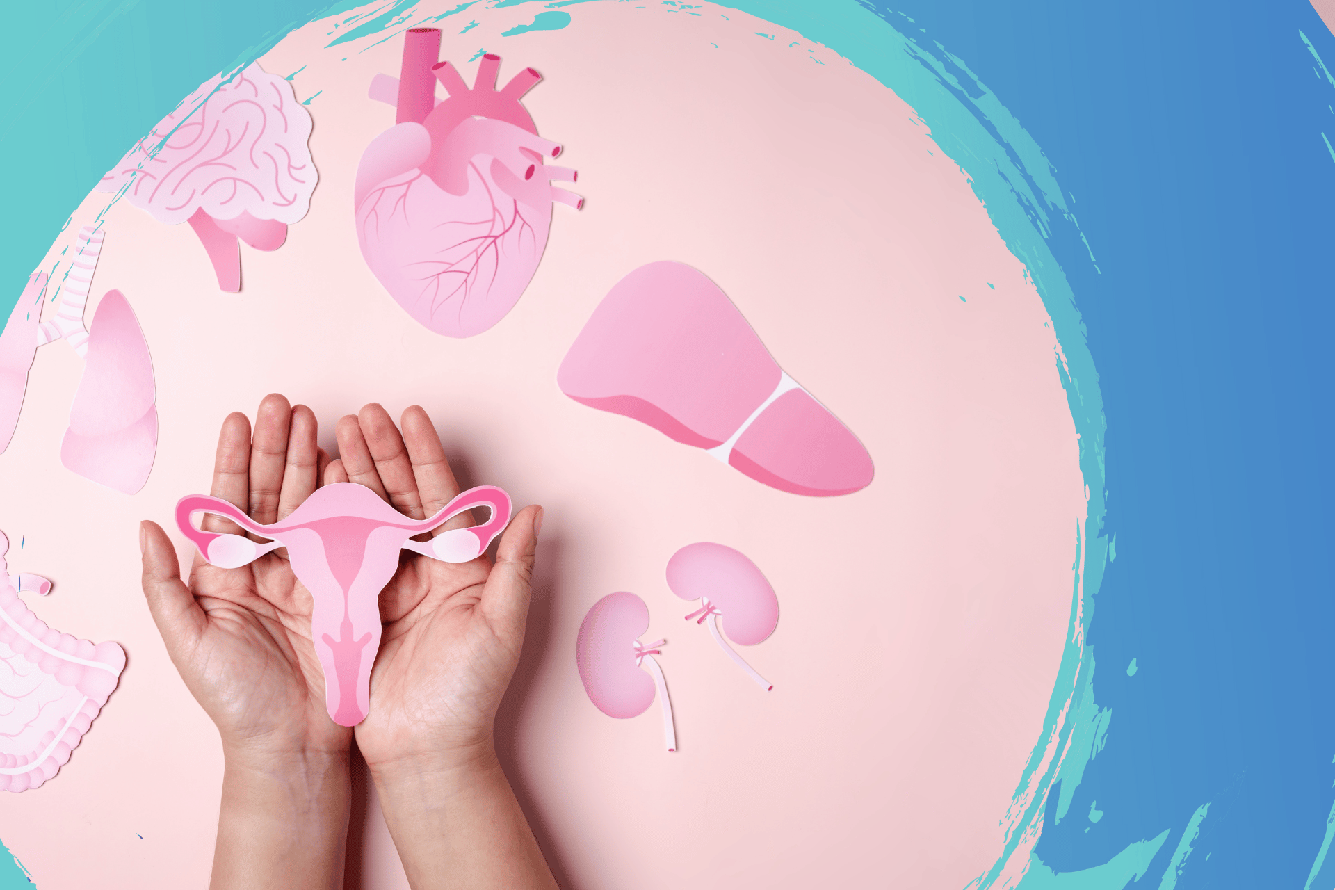 PCOS And Egg Freezing EVOLVE Egg Freezing